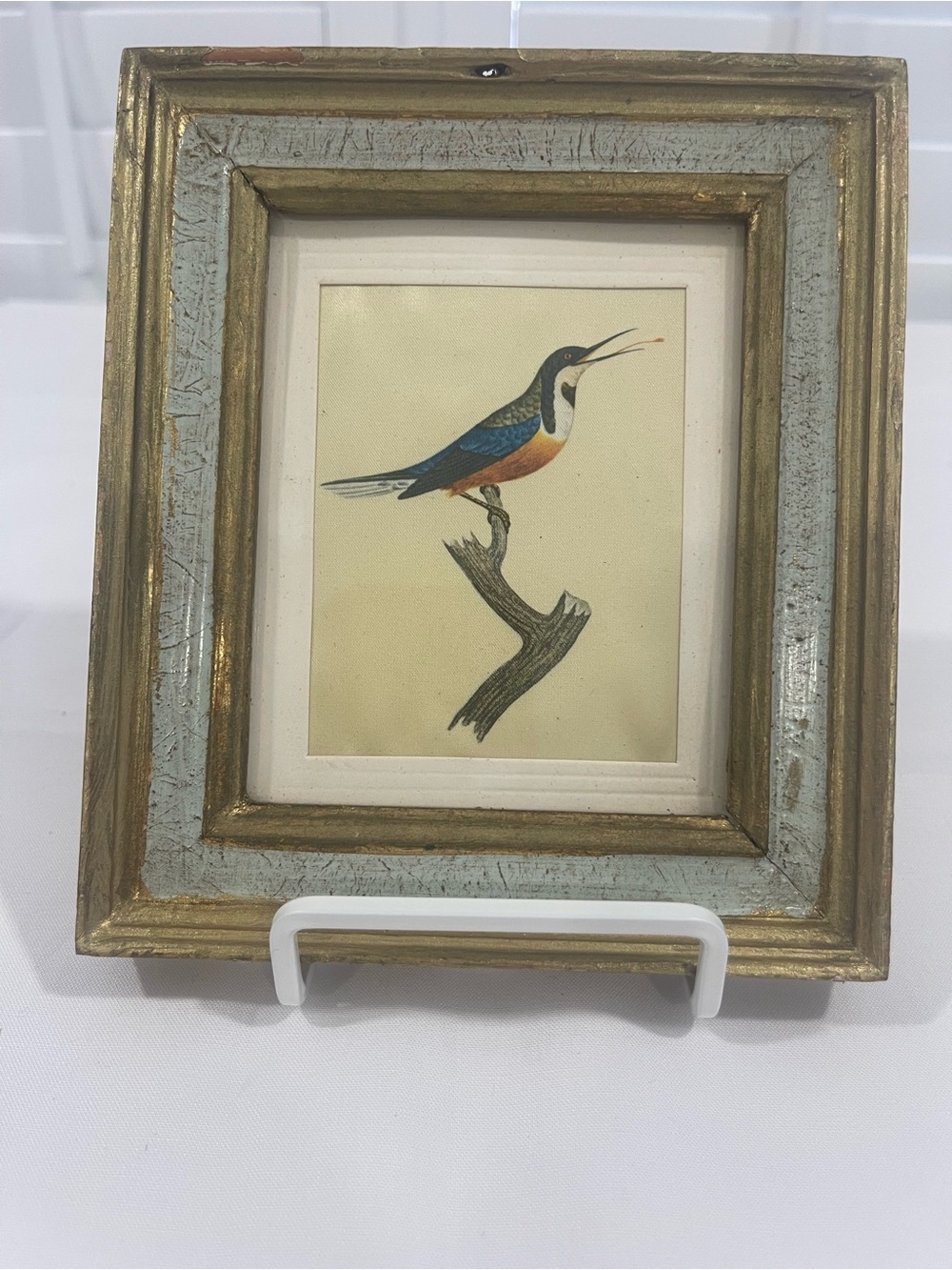Vintage Italian Framed Kingfisher Art Print 18th-19th century